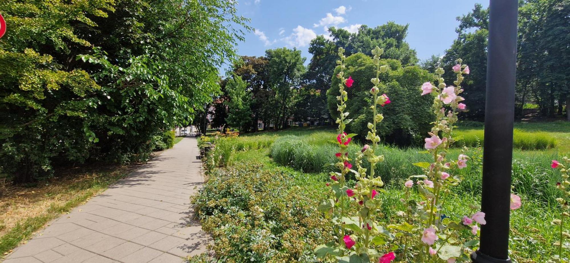Butas Labo Mariensztat Warsaw